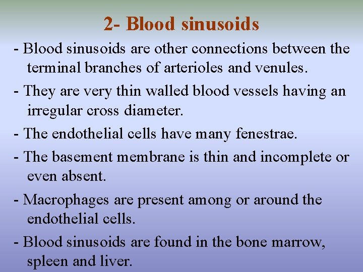 2 - Blood sinusoids are other connections between the terminal branches of arterioles and
