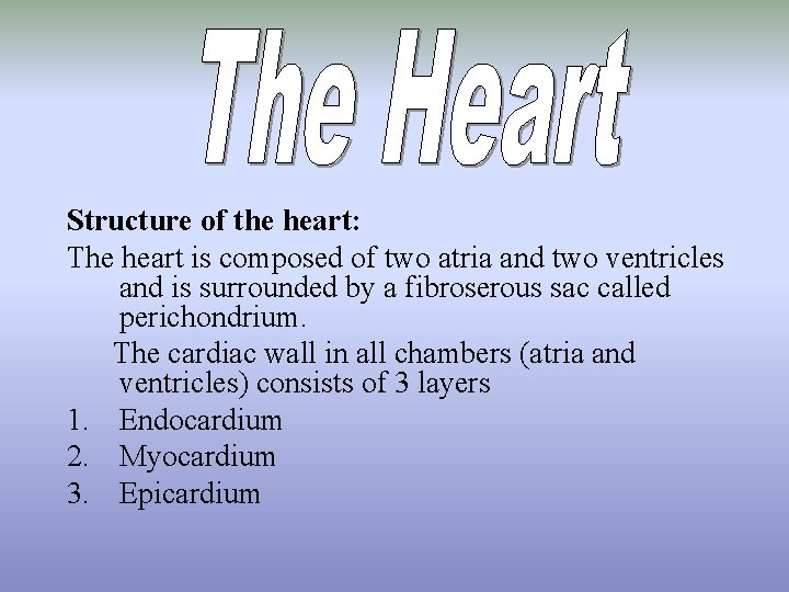Structure of the heart: The heart is composed of two atria and two ventricles