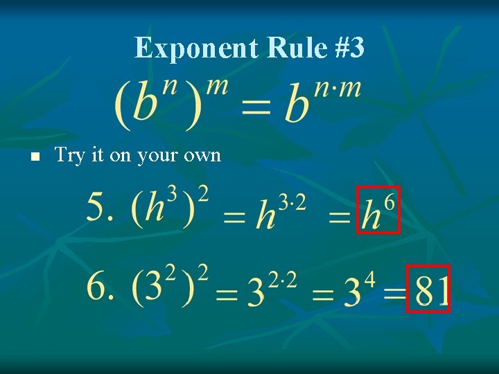 Exponent Rule #3 n Try it on your own 