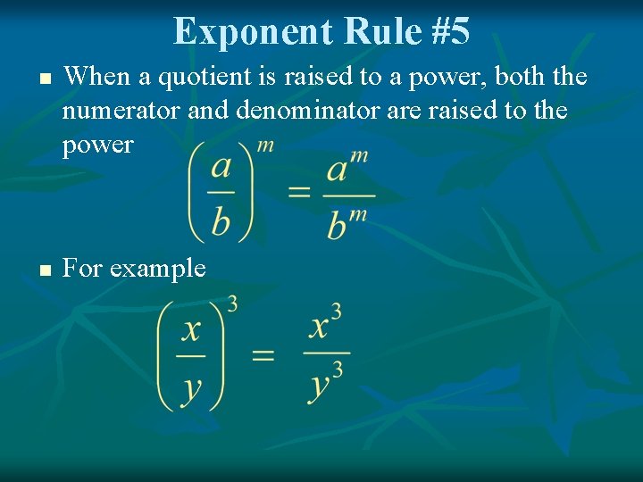 Exponent Rule #5 n n When a quotient is raised to a power, both