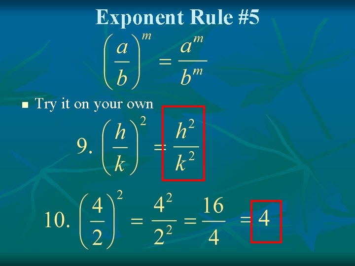 Exponent Rule #5 n Try it on your own 