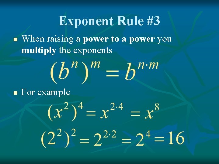 Exponent Rule #3 n n When raising a power to a power you multiply