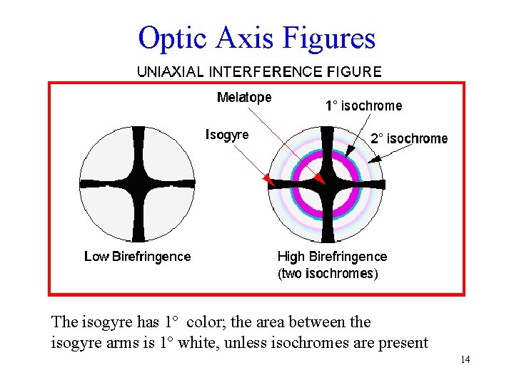 Optic Axis Figures The isogyre has 1º color; the area between the isogyre arms
