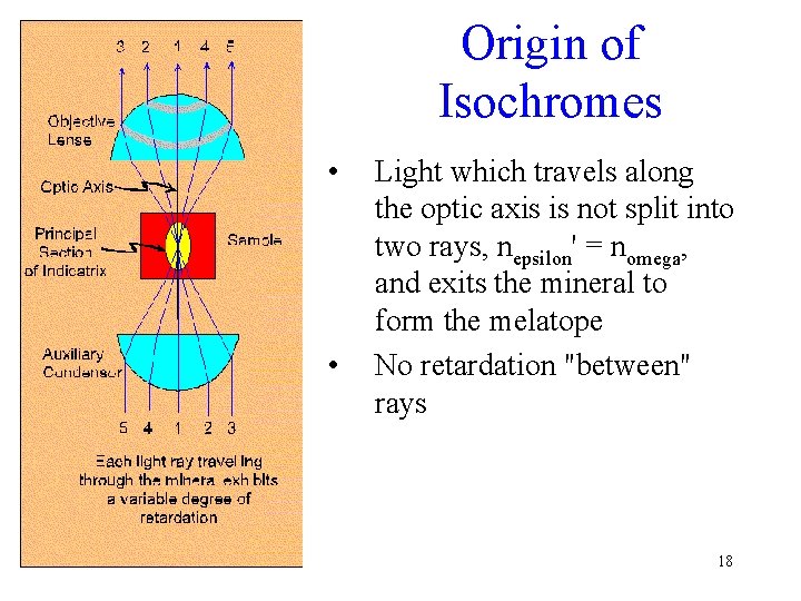 Origin of Isochromes • • Light which travels along the optic axis is not