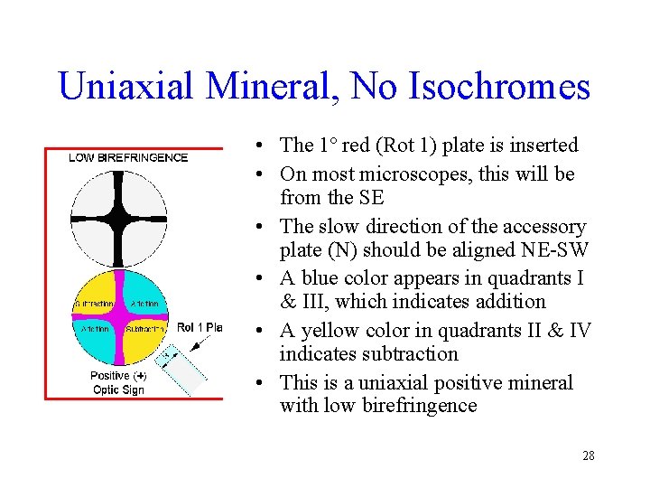 Uniaxial Mineral, No Isochromes • The 1º red (Rot 1) plate is inserted •