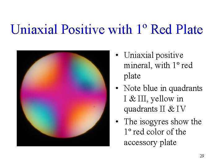 Uniaxial Positive with 1º Red Plate • Uniaxial positive mineral, with 1º red plate