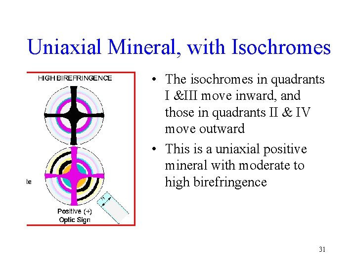 Uniaxial Mineral, with Isochromes • The isochromes in quadrants I &III move inward, and