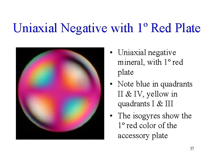 Uniaxial Negative with 1º Red Plate • Uniaxial negative mineral, with 1º red plate