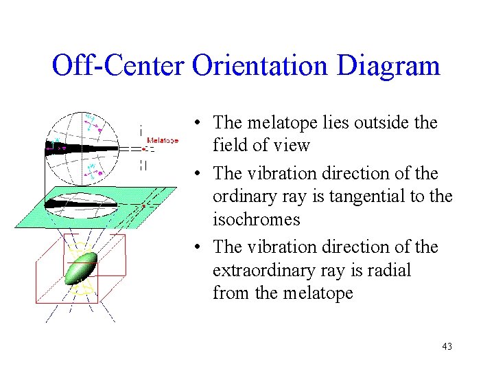 Off-Center Orientation Diagram • The melatope lies outside the field of view • The