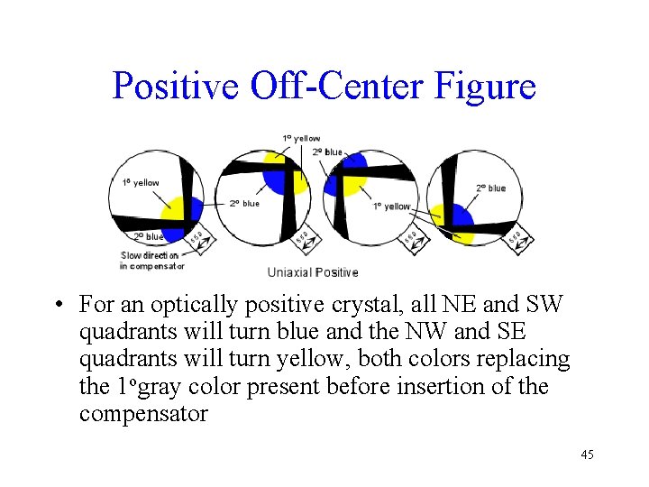 Positive Off-Center Figure • For an optically positive crystal, all NE and SW quadrants