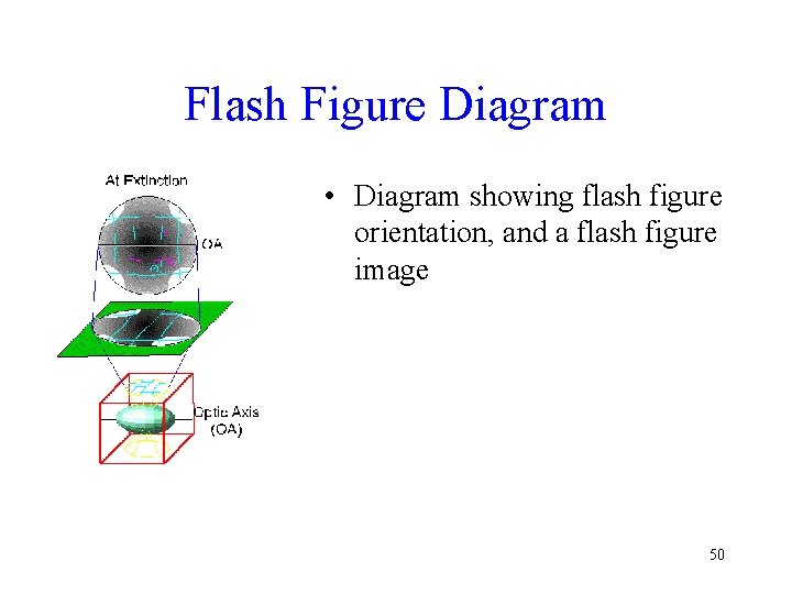 Flash Figure Diagram • Diagram showing flash figure orientation, and a flash figure image