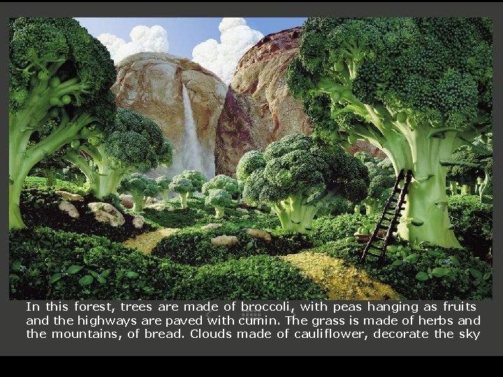 In this forest, trees are made of broccoli, with peas hanging as fruits and