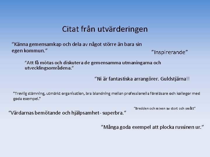 Citat från utvärderingen ”Känna gemensamkap och dela av något större än bara sin egen