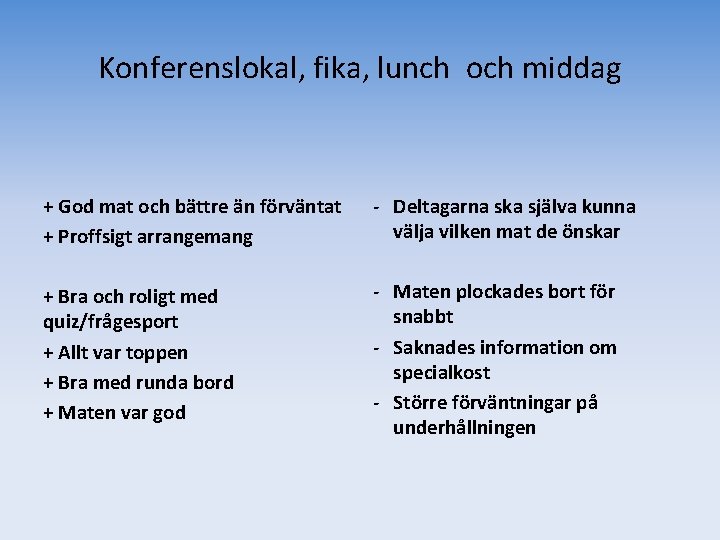 Konferenslokal, fika, lunch och middag + God mat och bättre än förväntat + Proffsigt