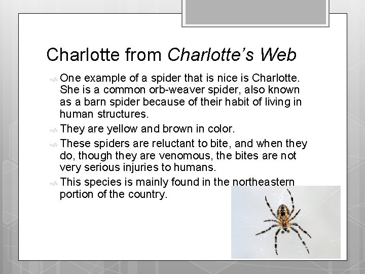Charlotte from Charlotte’s Web One example of a spider that is nice is Charlotte.