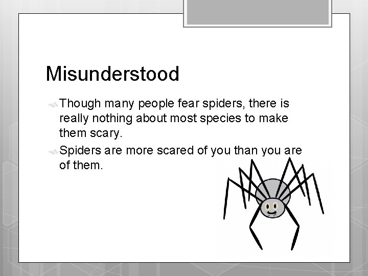 Misunderstood Though many people fear spiders, there is really nothing about most species to