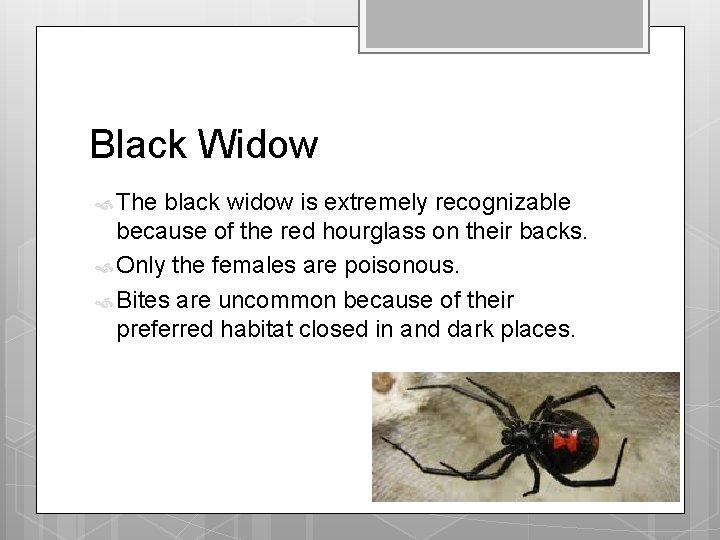 Black Widow The black widow is extremely recognizable because of the red hourglass on