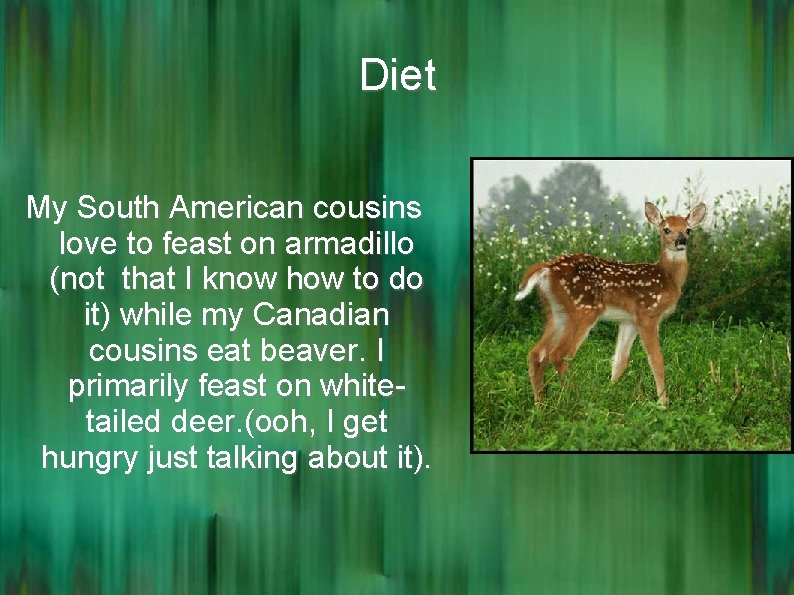 Diet My South American cousins love to feast on armadillo (not that I know