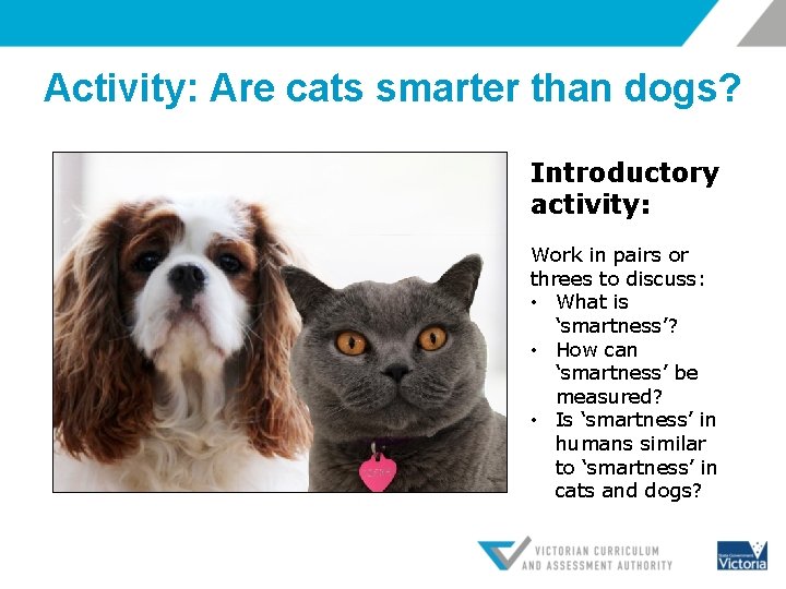 Activity: Are cats smarter than dogs? Introductory activity: Work in pairs or threes to