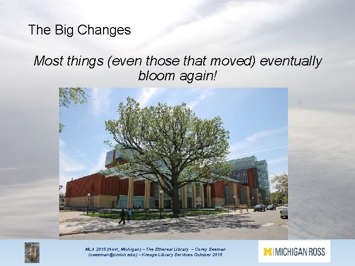 The Big Changes Most things (even those that moved) eventually bloom again! MLA 2015