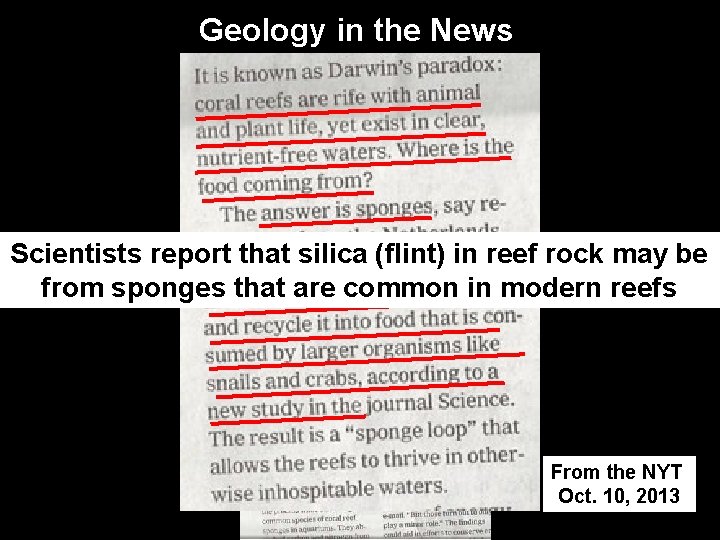 Geology in the News Scientists report that silica (flint) in reef rock may be