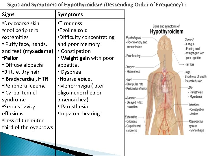 Signs and Symptoms of Hypothyroidism (Descending Order of Frequency) : Signs Symptoms • Dry