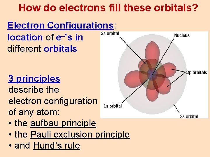 How do electrons fill these orbitals? Electron Configurations: location of e–’s in different orbitals