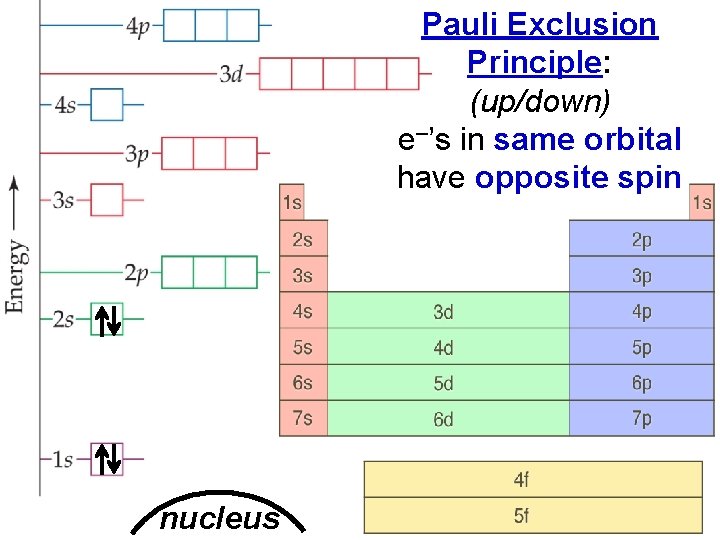 Electron Arrangement in Atoms nucleus > Pauli Exclusion Principle: (up/down) e–’s in same orbital
