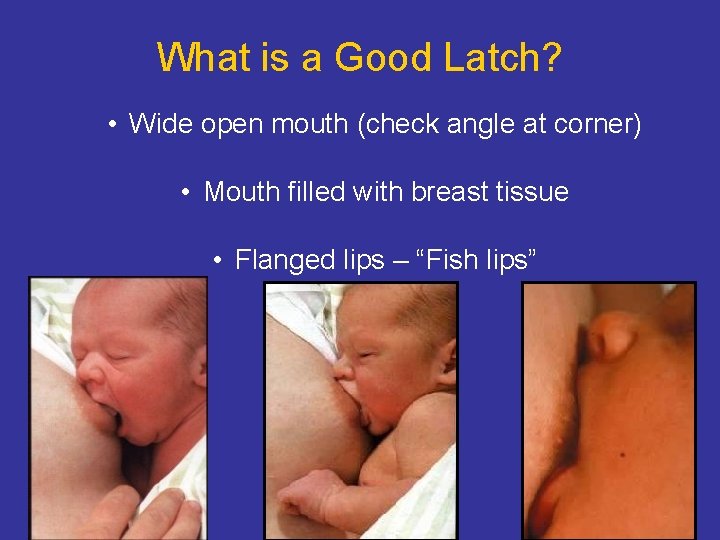 What is a Good Latch? • Wide open mouth (check angle at corner) • What is a Good Latch? • Wide open mouth (check angle at corner) •