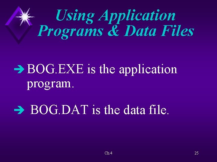 Using Application Programs & Data Files è BOG. EXE is the application program. è
