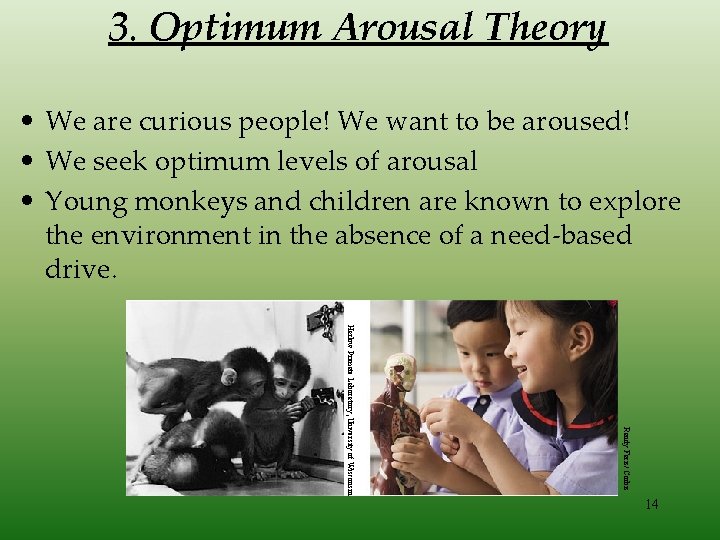 3. Optimum Arousal Theory • We are curious people! We want to be aroused!