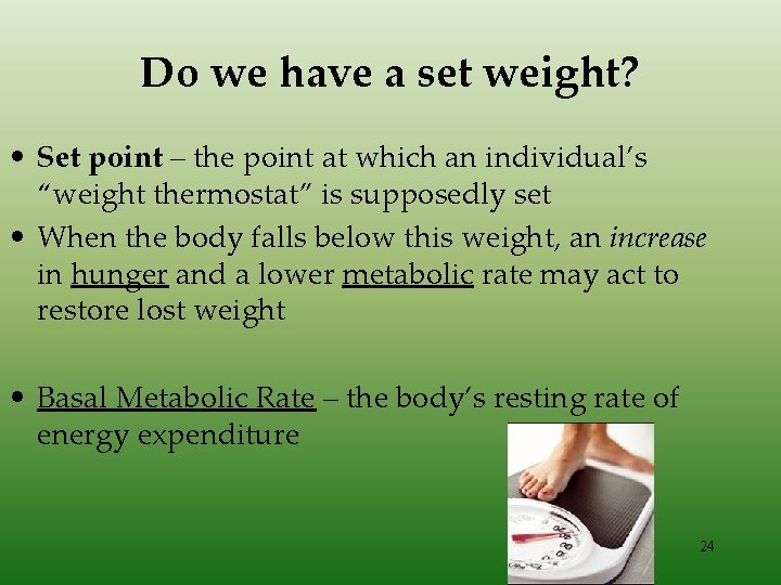 Do we have a set weight? • Set point – the point at which