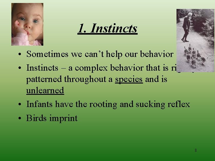 1. Instincts • Sometimes we can’t help our behavior • Instincts – a complex