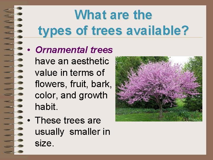What are the types of trees available? • Ornamental trees have an aesthetic value