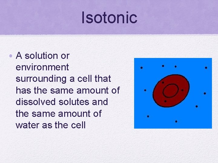 Isotonic • A solution or environment surrounding a cell that has the same amount