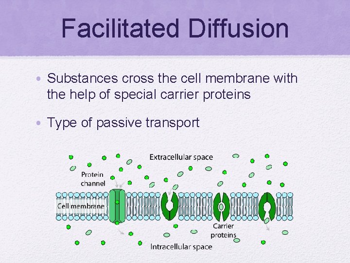 Facilitated Diffusion • Substances cross the cell membrane with the help of special carrier
