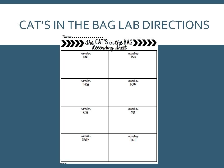 CAT’S IN THE BAG LAB DIRECTIONS 