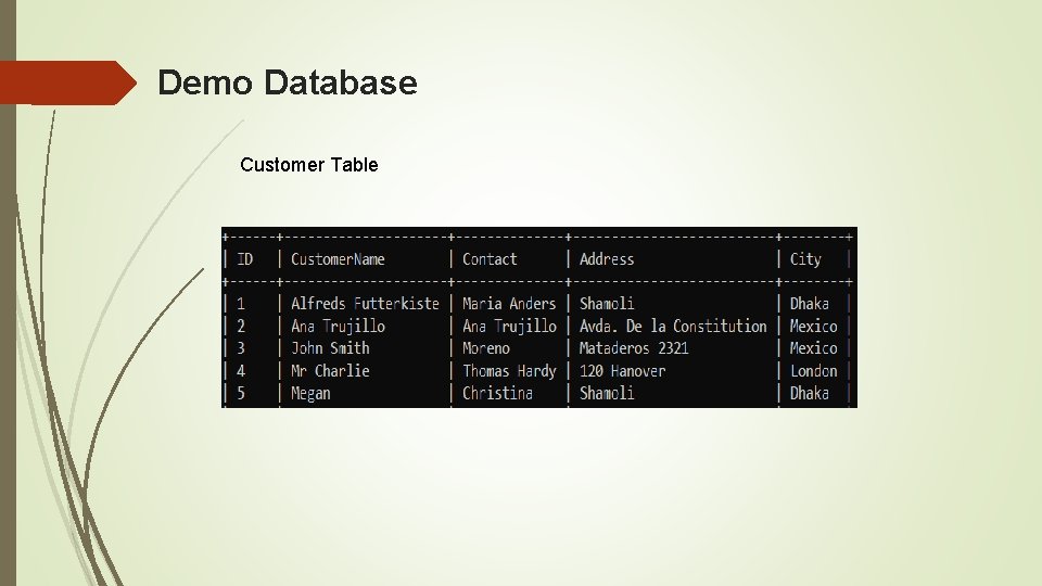 Demo Database Customer Table 