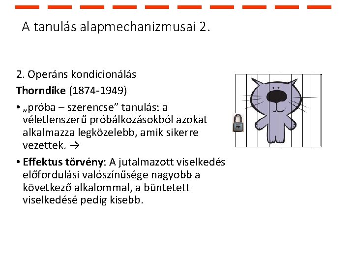 A tanulás alapmechanizmusai 2. 2. Operáns kondicionálás Thorndike (1874 -1949) • „próba – szerencse”