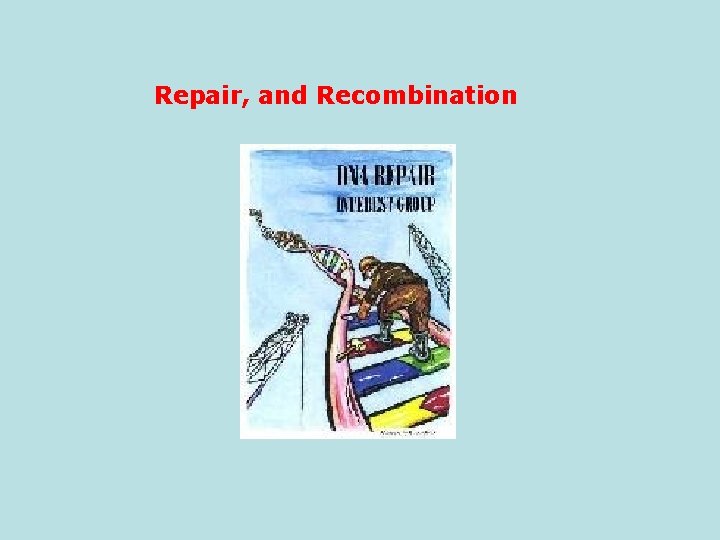 Repair, and Recombination 