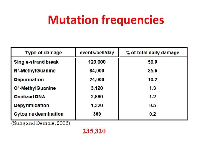Mutation frequencies 235, 320 