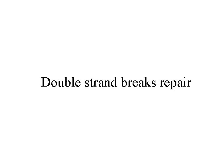 Double strand breaks repair 