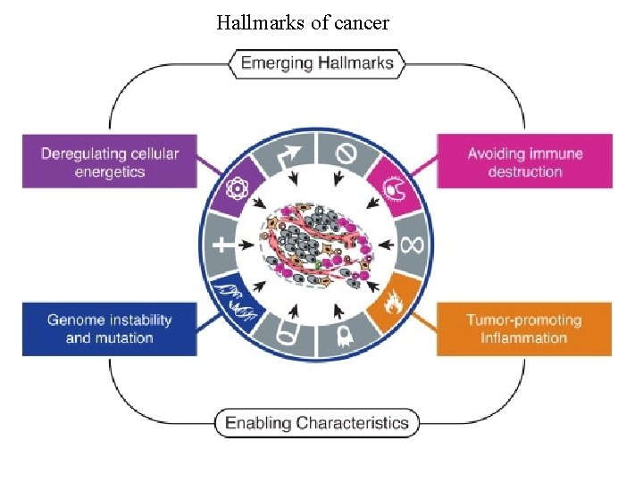 Hallmarks of cancer 