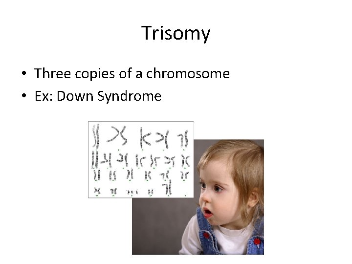 Trisomy • Three copies of a chromosome • Ex: Down Syndrome 