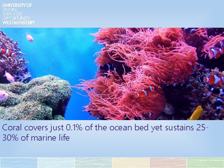 Coral covers just 0. 1% of the ocean bed yet sustains 2530% of marine