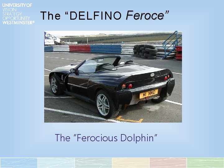 The “DELFINO Feroce” The “Ferocious Dolphin” 