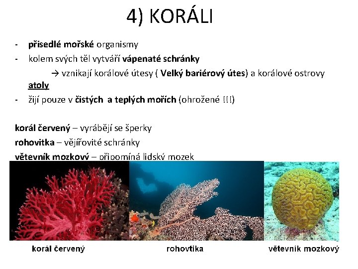 4) KORÁLI - - přisedlé mořské organismy kolem svých těl vytváří vápenaté schránky →