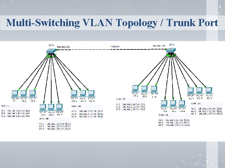Multi-Switching VLAN Topology / Trunk Port 