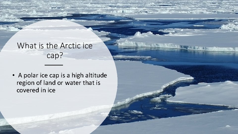 What is the Arctic ice cap? • A polar ice cap is a high