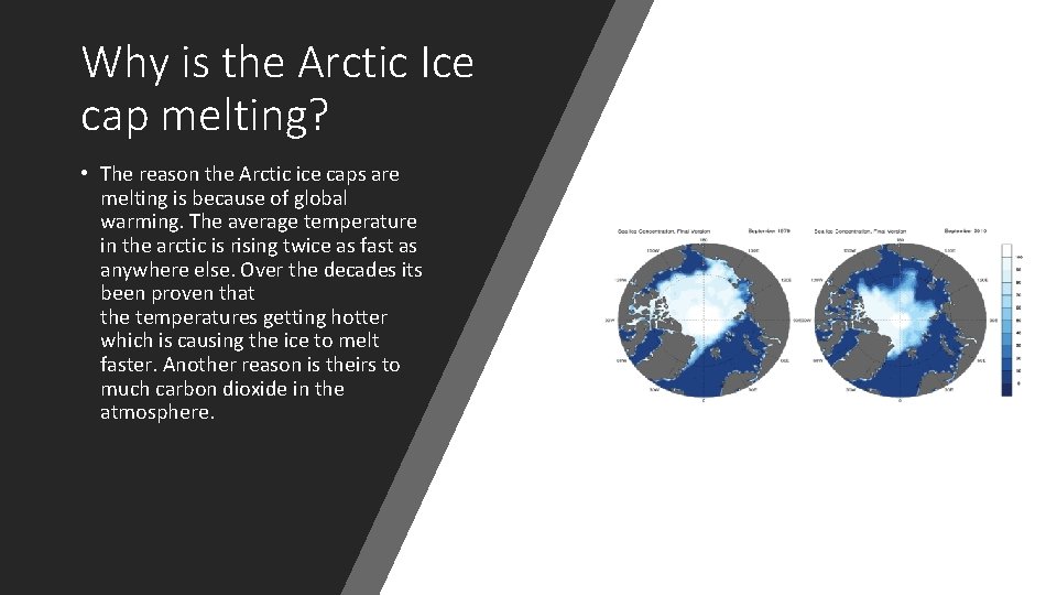 Why is the Arctic Ice cap melting? • The reason the Arctic ice caps